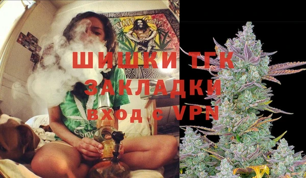 a pvp Бородино