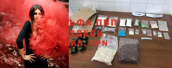 ПСИЛОЦИБИНОВЫЕ ГРИБЫ Пересвет