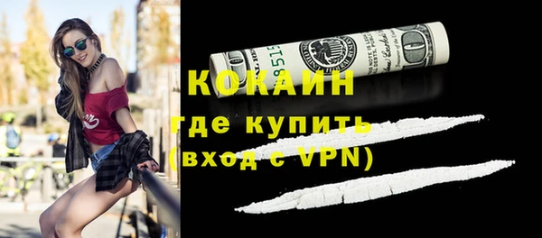 a pvp Бородино
