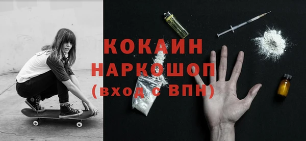a pvp Бородино