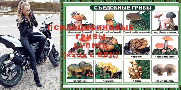 a pvp Бугульма