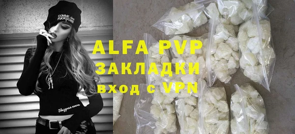 a pvp Бородино