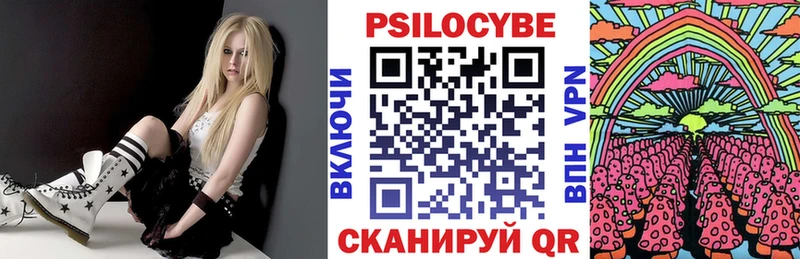 Псилоцибиновые грибы Psilocybe  Дегтярск 